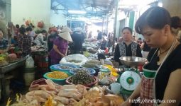 Các chợ hải sản Đà Nẵng tươi sống giá rẻ